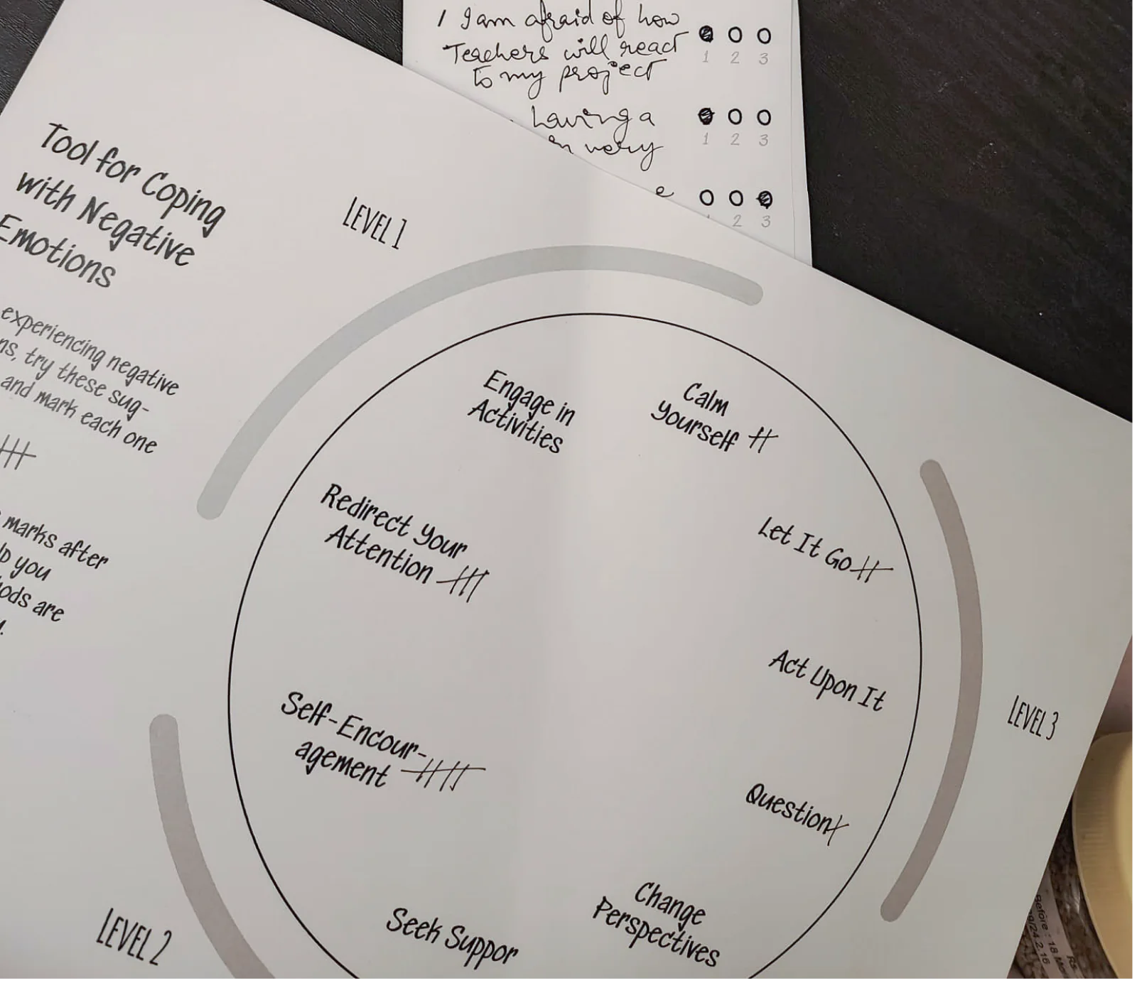The coping tool marked up by a participant.