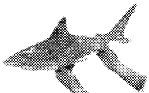 The Save the Sharks brochure unfolded into a whole shark and held up in two hands.