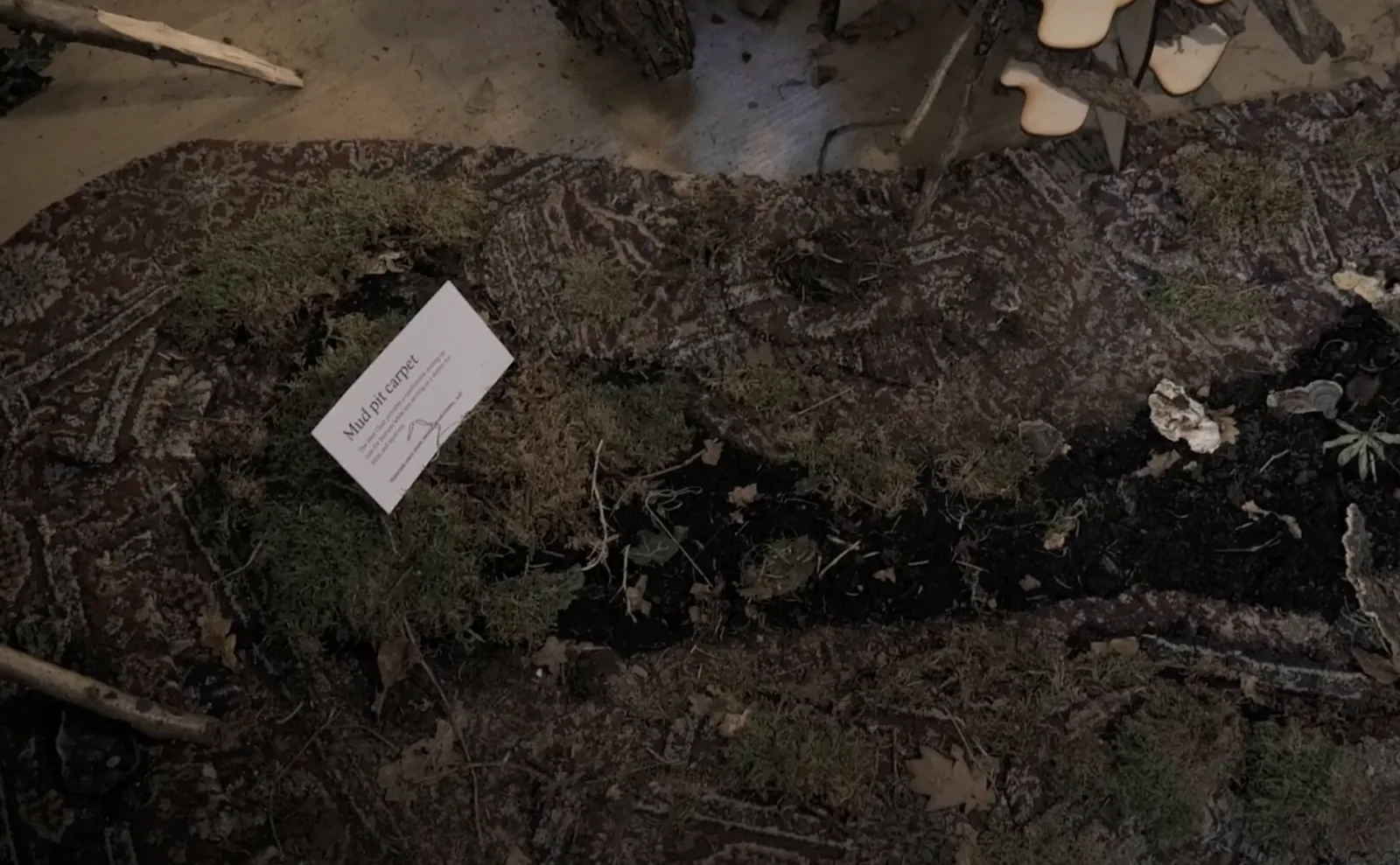 The Mud Pit Carpet of soil, leaves and moss.