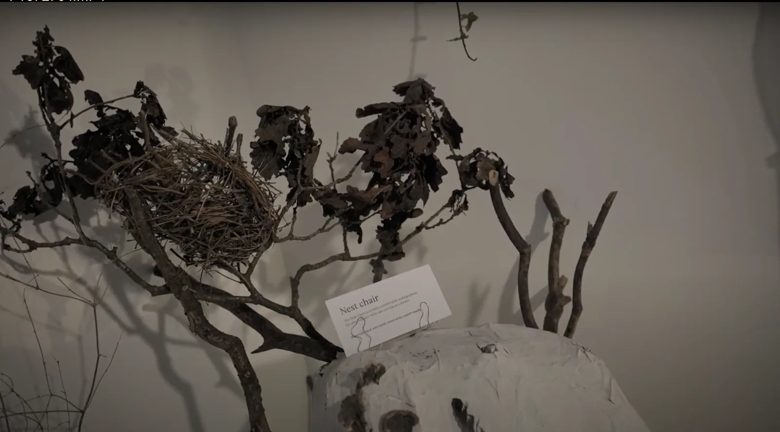 The Nest Chair with a bird’s nest among its branches.