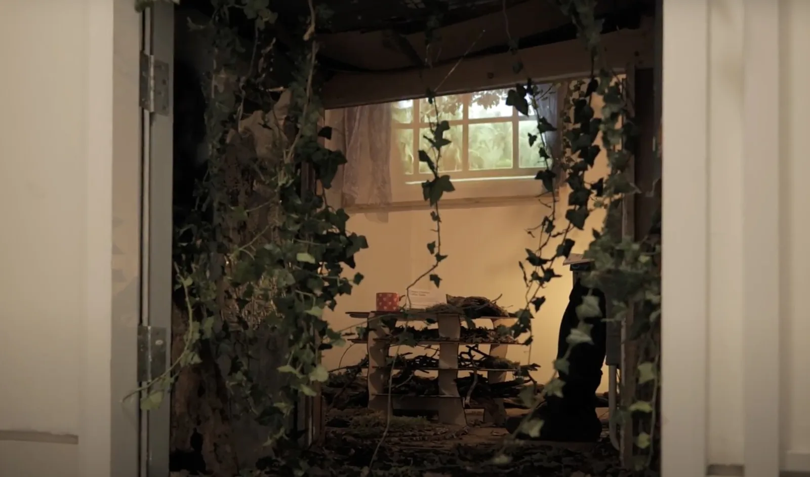 Looking into the room through the chimney entry.