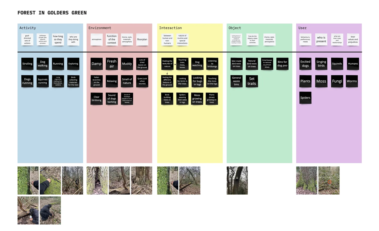 AEIOU observation board with notes from homes and the forest.