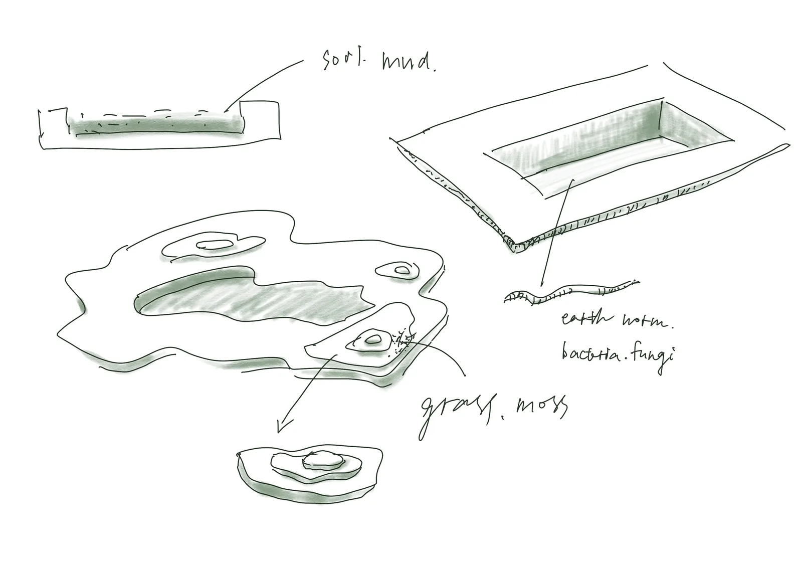 Sketches of the Mud Pit Carpet.