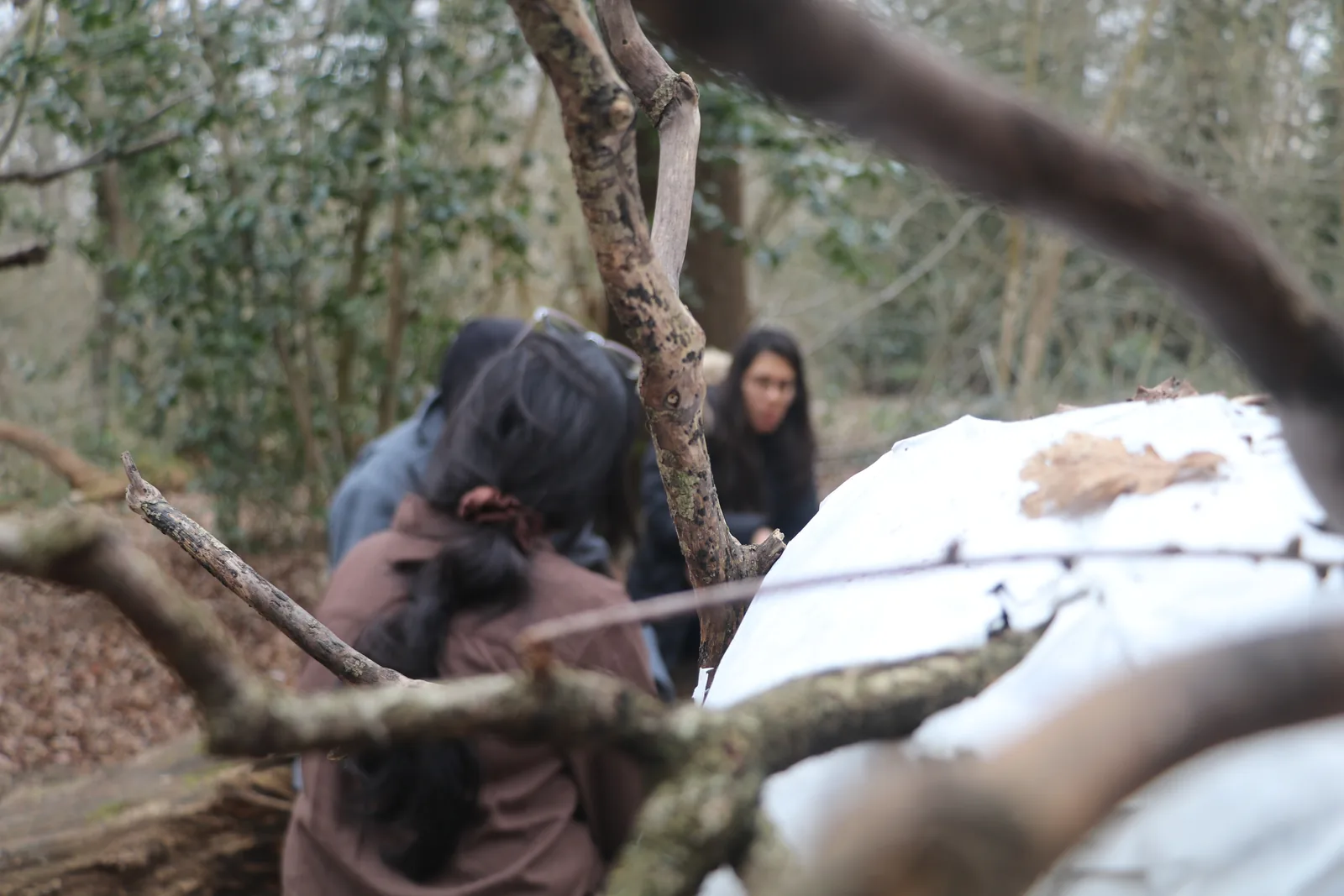 The team seen from above through branches, a bird’s view.