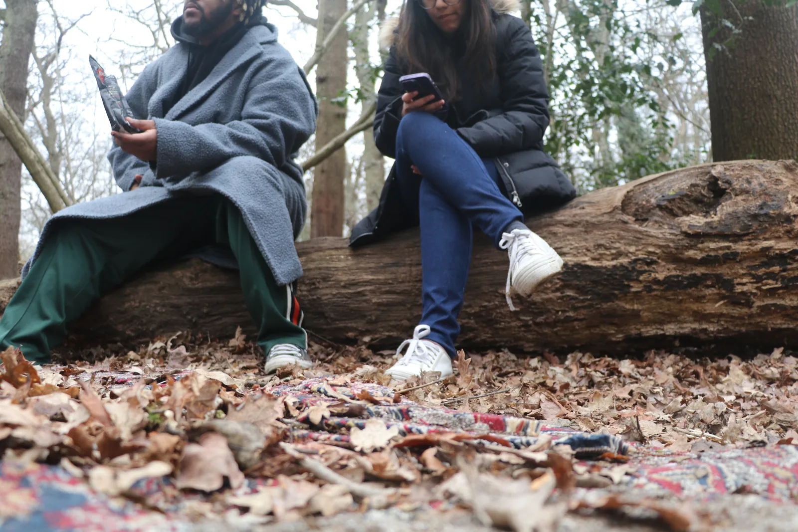 People sitting on a log, seen from among the leaf litter — the view of a creature living underground.