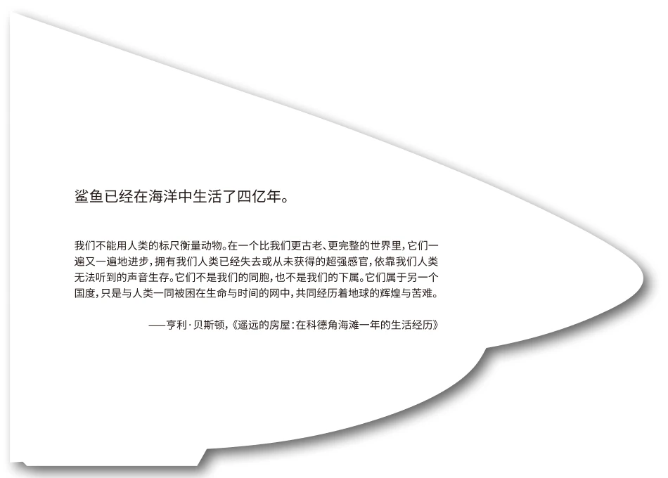 The first page of the brochure, shaped like a shark’s head, with a quote in Chinese.