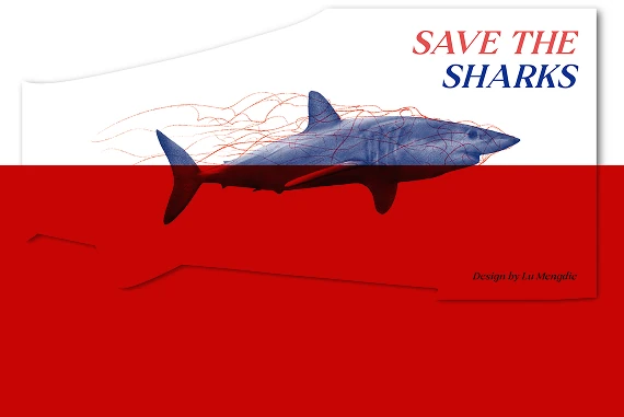 The brochure’s cover half out of the red folder: above the folder, the shark tangled in red lines; inside it, only a dark silhouette.