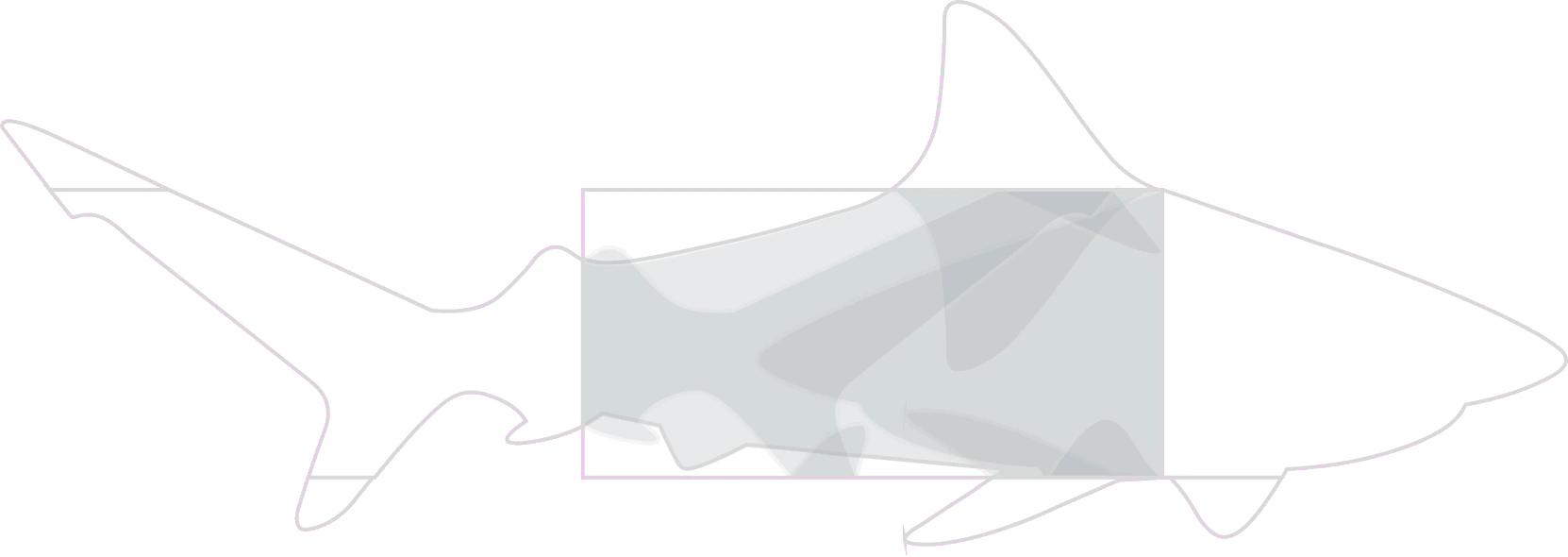 Outline of the unfolded brochure: a shark 810 mm long and 280 mm deep, with the folded cover panel shaded at its middle.