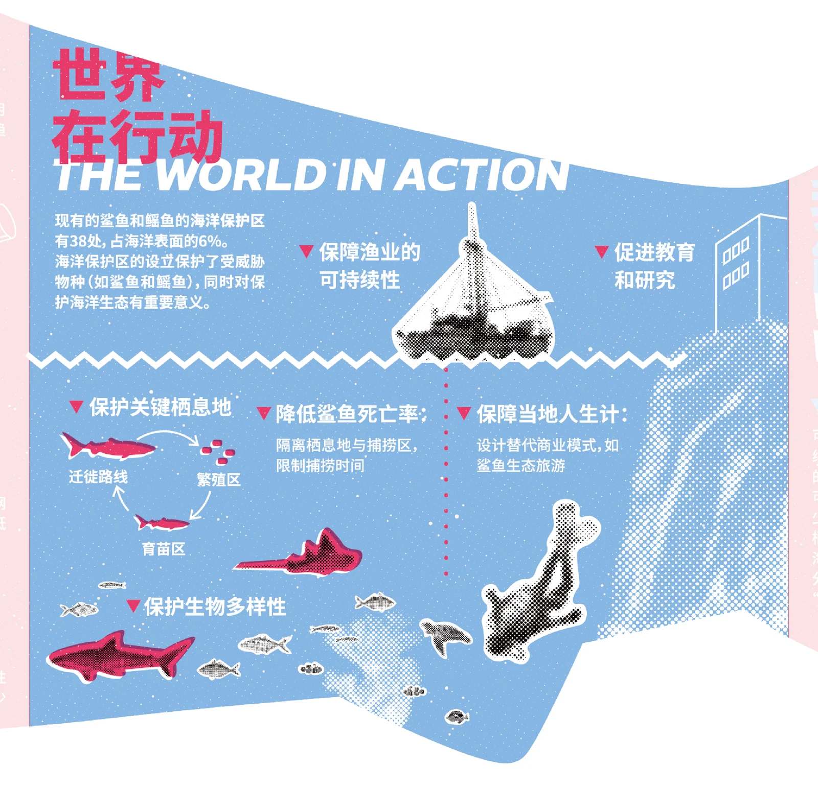 Part 3, in blue: marine protected areas and what they do for people and for sharks.