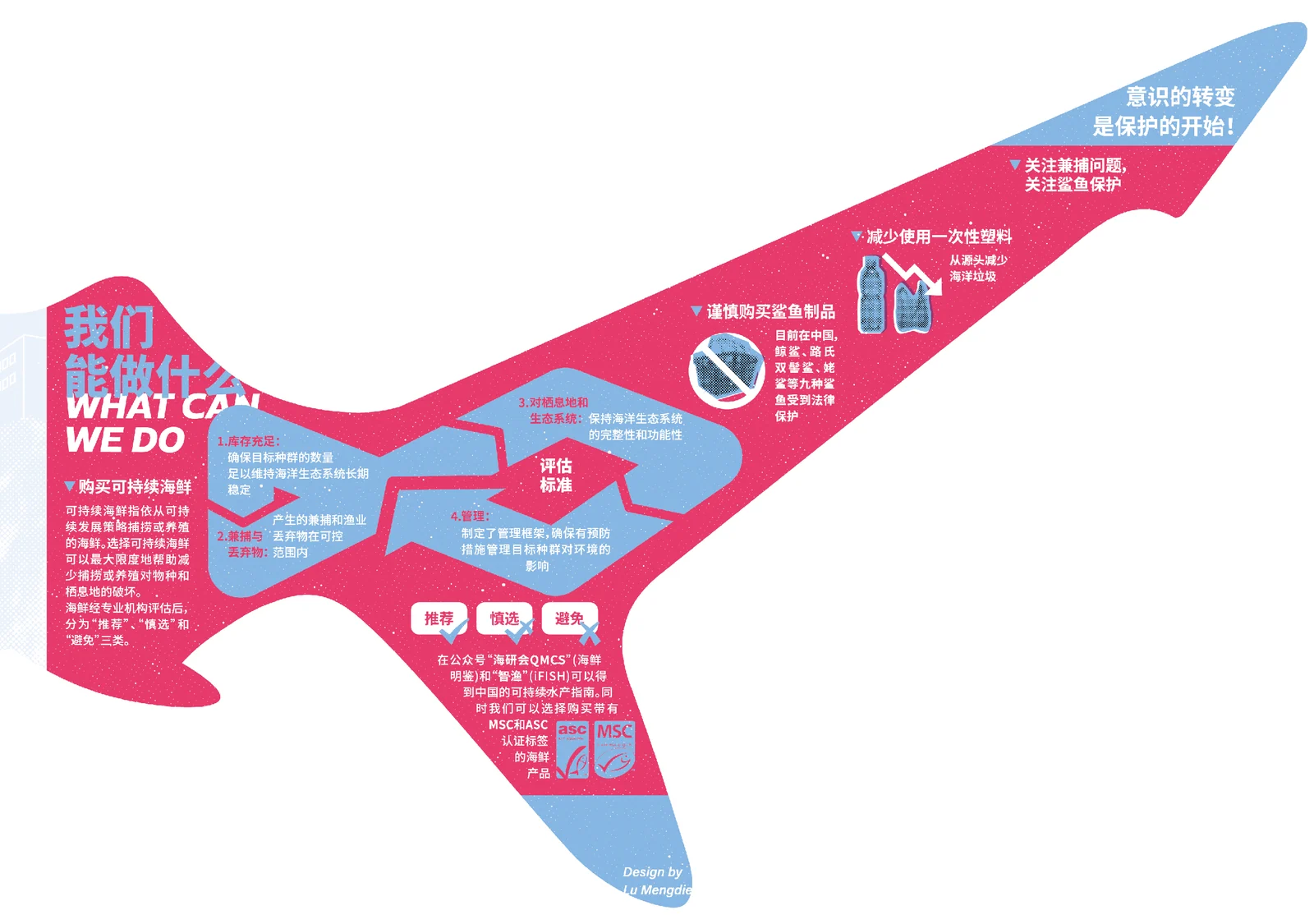 Part 4, the tail: everyday actions for shark conservation, from sustainable seafood to less single-use plastic.